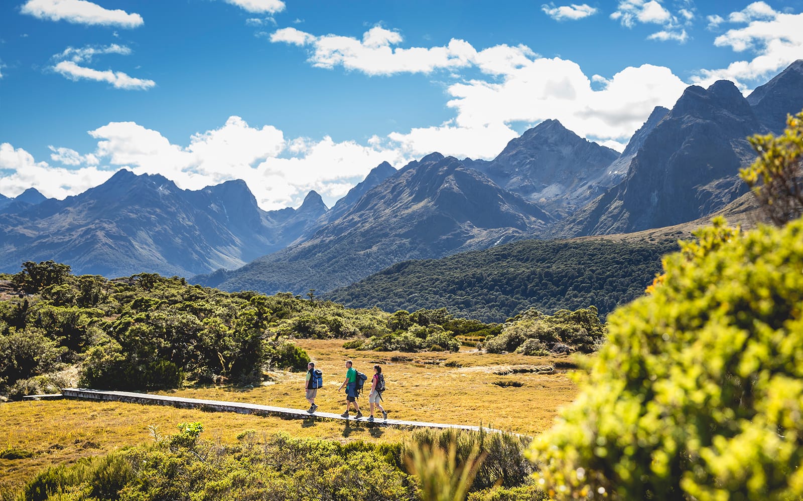 Guided Tour of Routeburn Track at Fiordland National Park tickets in Te Anau - Attractions | TickYourList