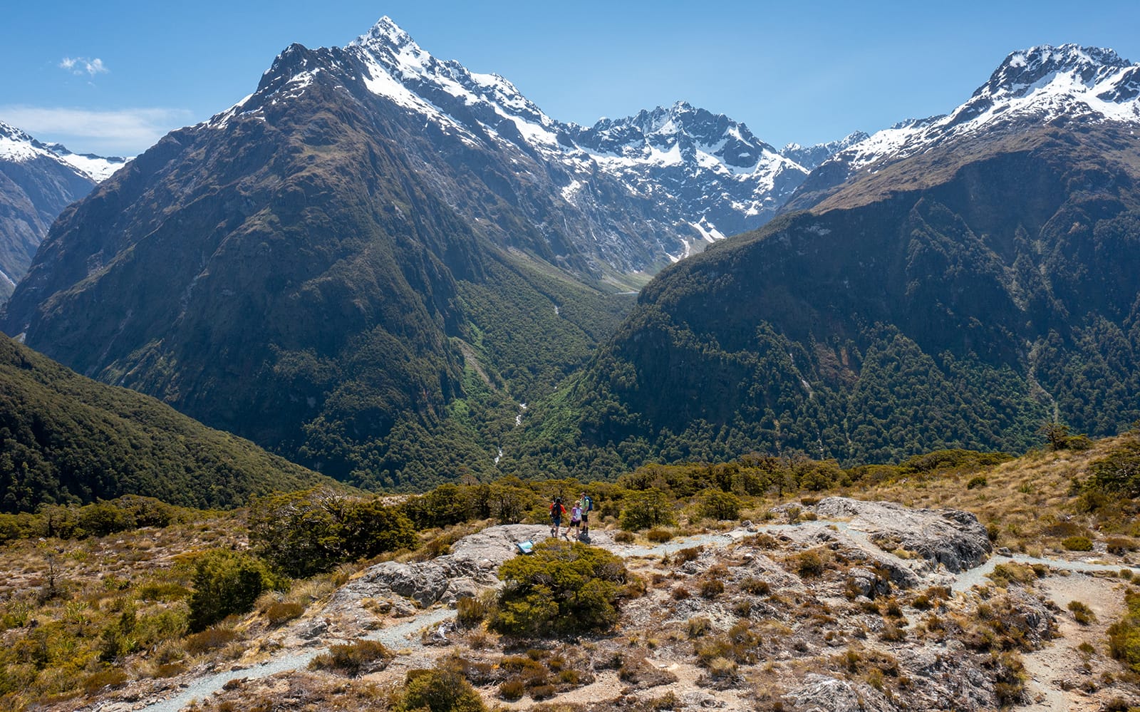 Guided Tour of Routeburn Track at Fiordland National Park tickets in Te Anau - Activities | TickYourList