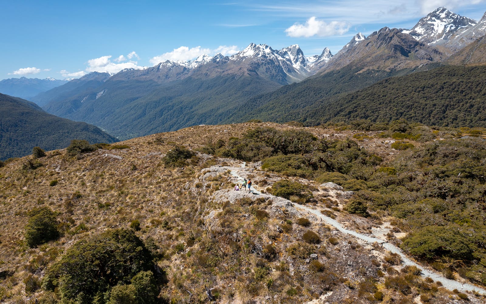Guided Tour of Routeburn Track at Fiordland National Park tickets in Te Anau - Highlights | TickYourList