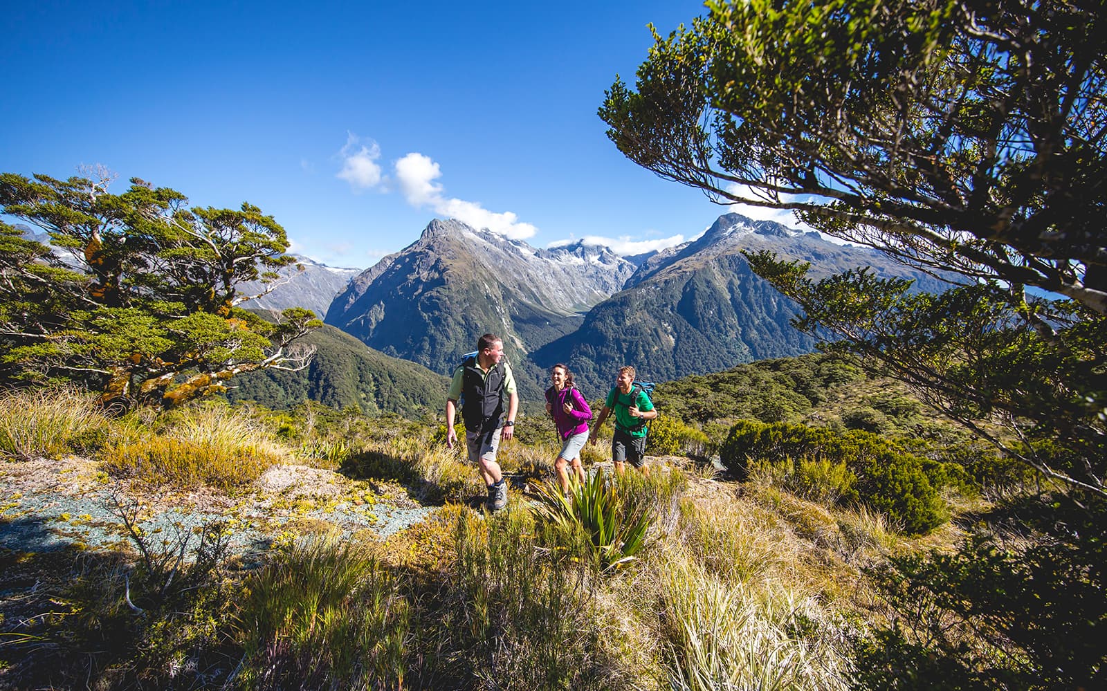 Guided Tour of Routeburn Track at Fiordland National Park tickets in Te Anau - Features | TickYourList