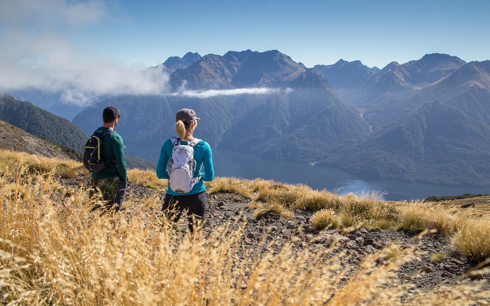 Guided Day Heli Hike to Kepler Track and Luxmore From Te Anau tickets in Te Anau - Activities | TickYourList