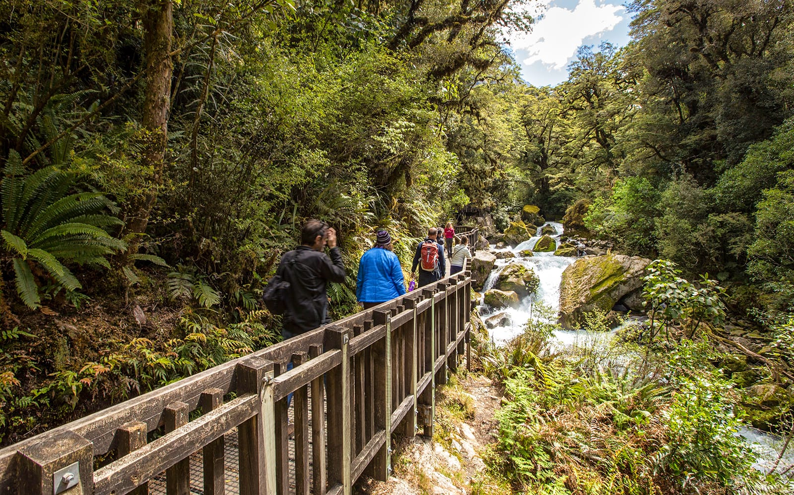Small Group Guided Hiking Tour To Lake Marian tickets in Te Anau - Highlights | TickYourList