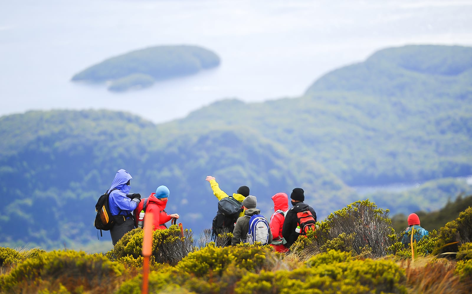3-Day Guided Walk of Fiordland from Te Anau tickets in Te Anau - Highlights | TickYourList