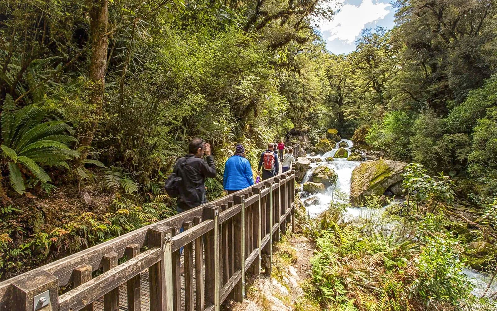 3-Day Guided Walk of Fiordland from Te Anau tickets in Te Anau - Features | TickYourList