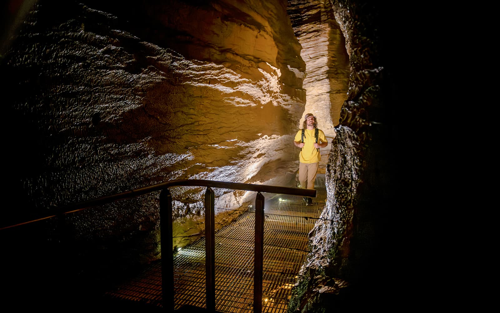 Te Anau Glowworm Caves Guided Tour tickets in Te Anau - Attractions | TickYourList