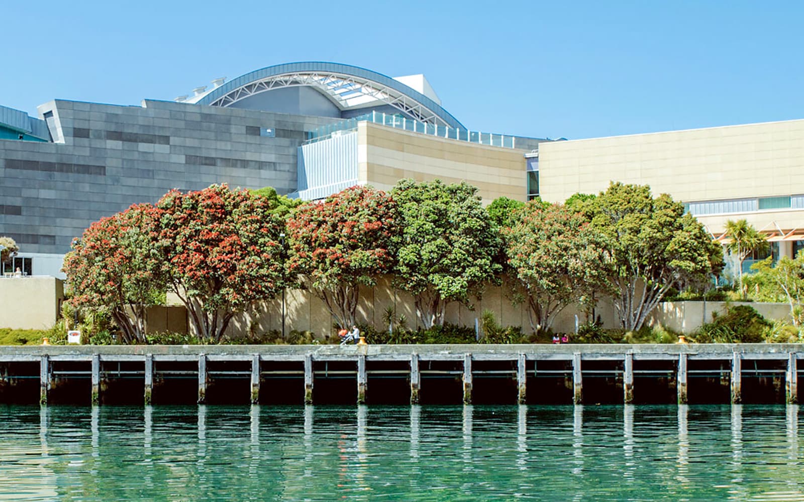 Museum of New Zealand Te Papa Tongarewa Tickets in Wellington - Highlights | TickYourList