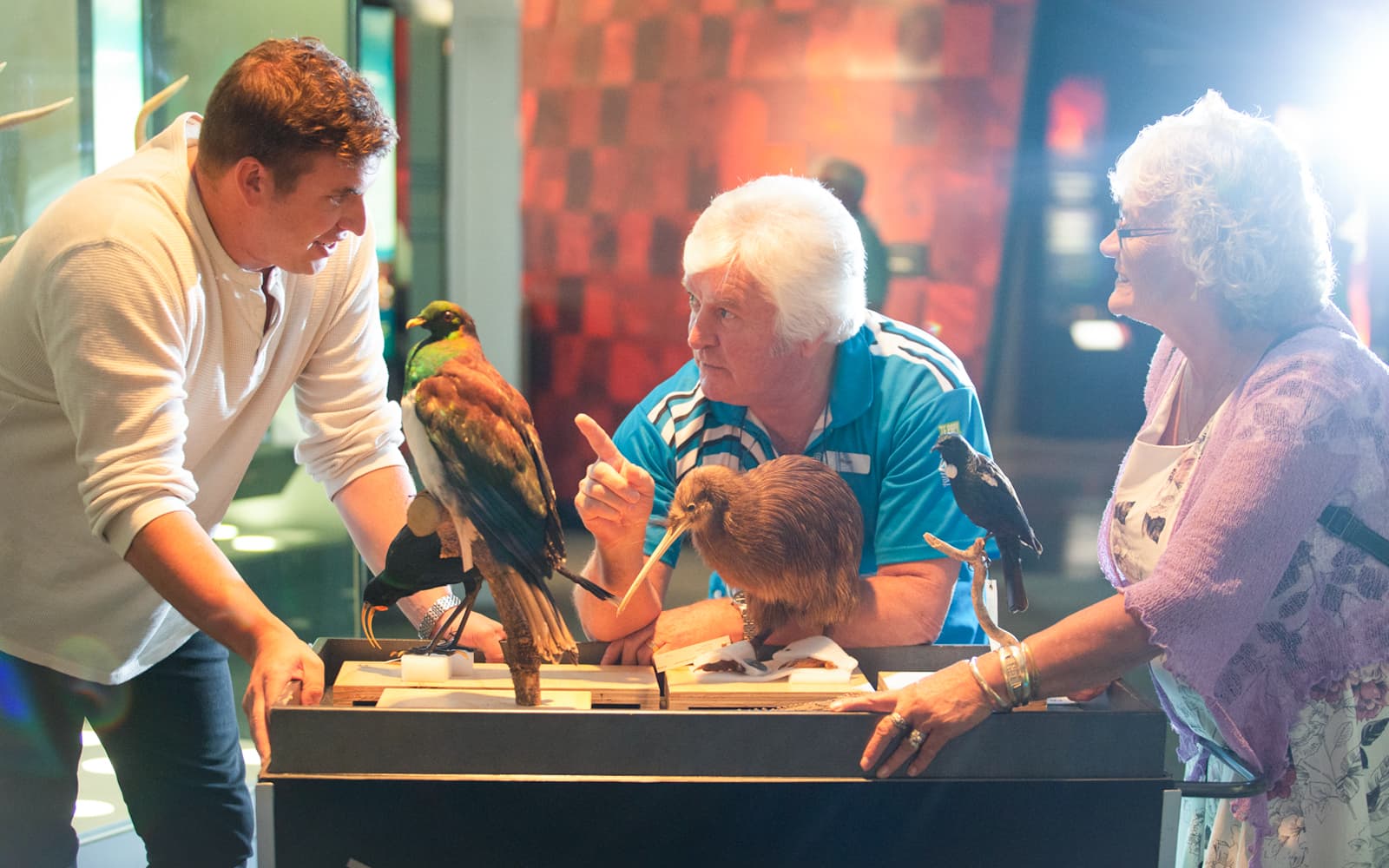 Museum of New Zealand Te Papa Tongarewa Tickets in Wellington - Features | TickYourList