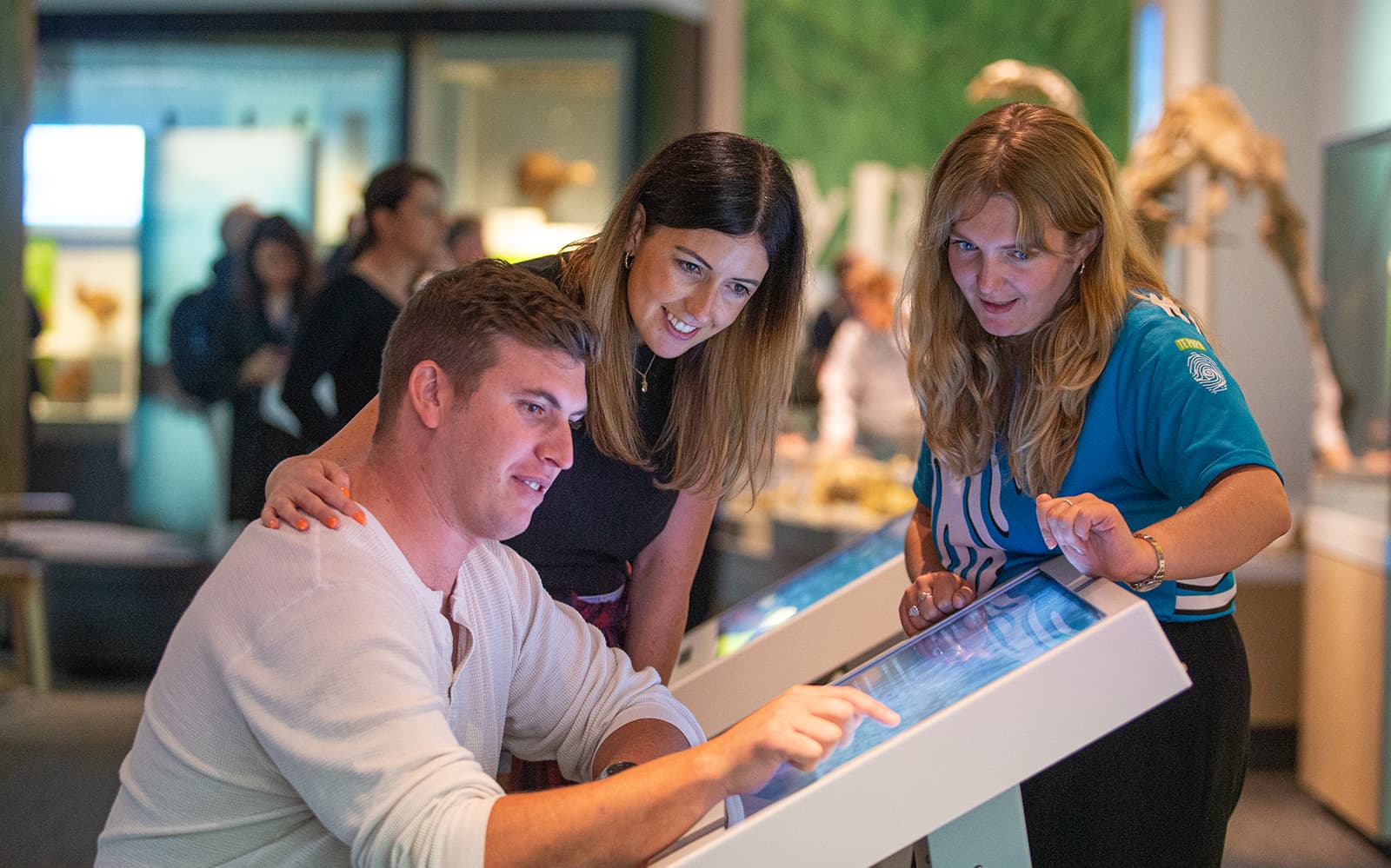 Museum of New Zealand Te Papa Tongarewa Tours tickets in Wellington - Highlights | TickYourList