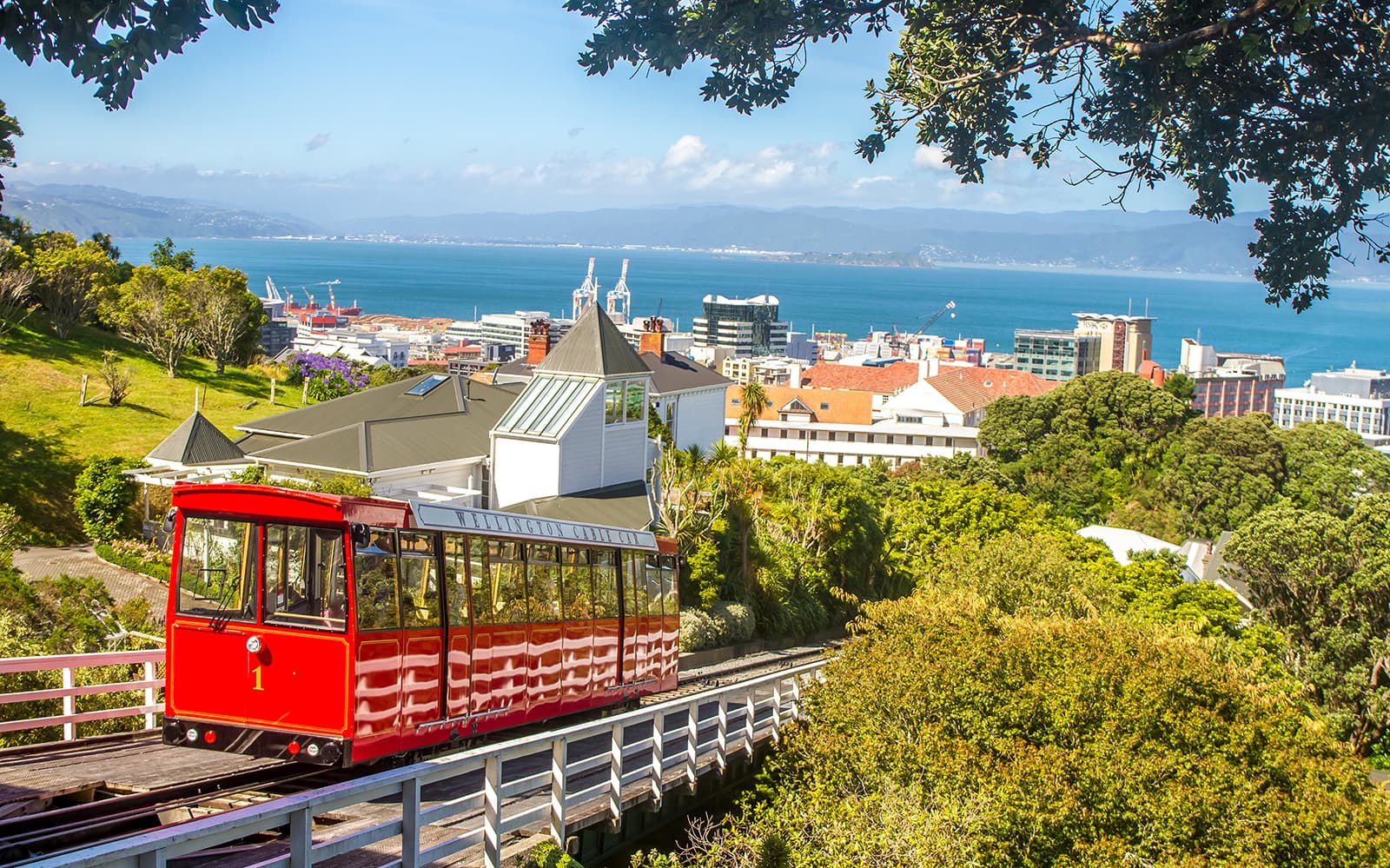 Half-Day Small-Group Guided Tour of Wellington Highlights tickets in Wellington - Activities | TickYourList