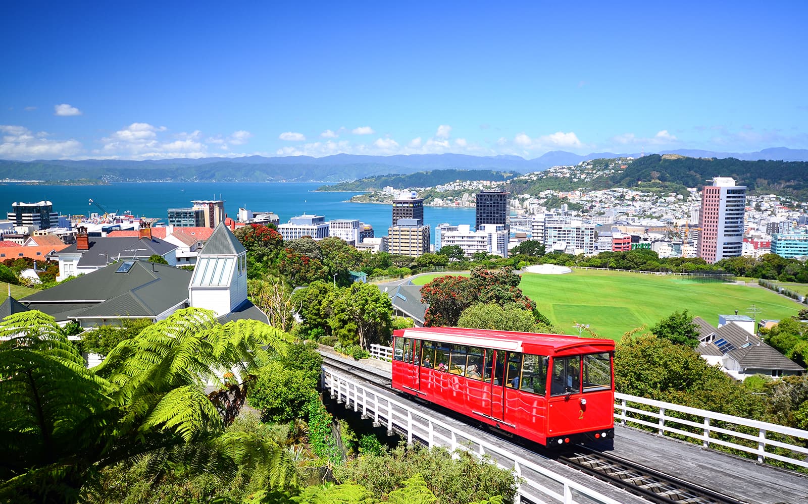 Half-Day Small-Group Guided Tour of Wellington Highlights tickets in Wellington - Highlights | TickYourList