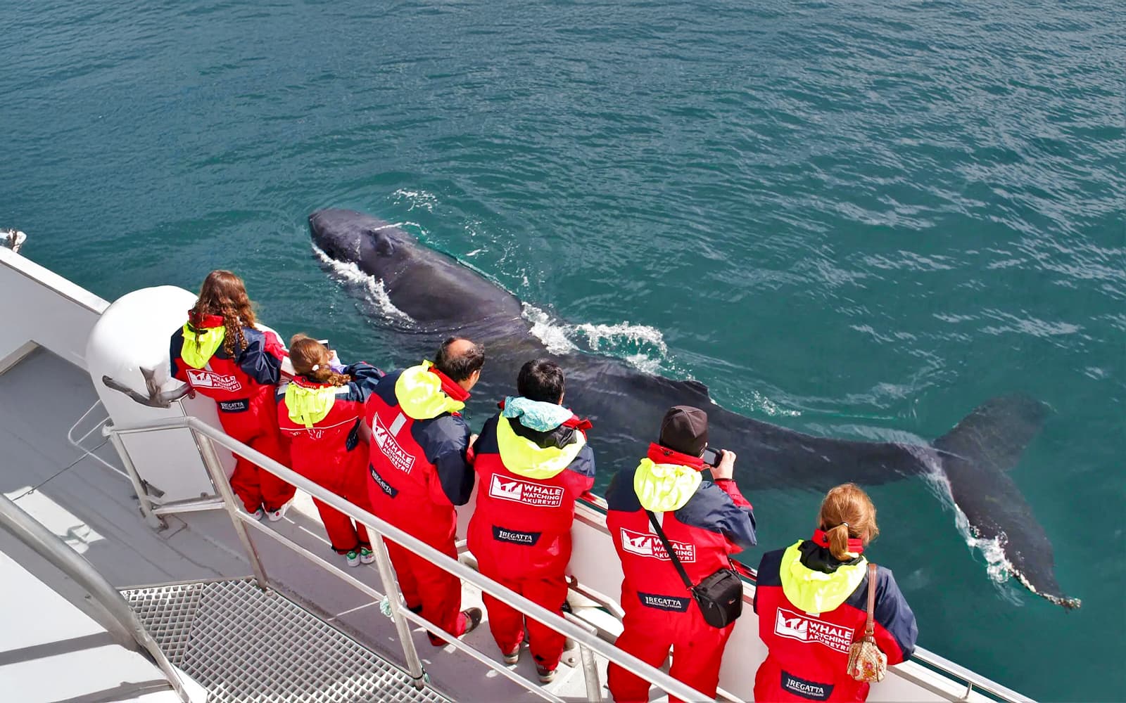 From Akureyri: Whale Watching Tours tickets in Reykjavik - Features | TickYourList
