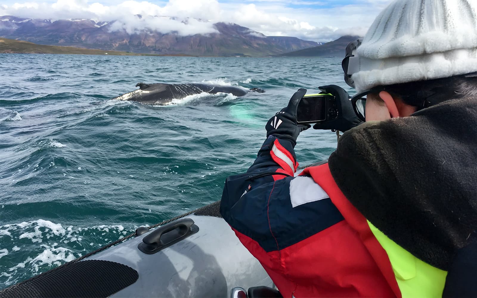 From Akureyri: Whale Watching Tour on RIB Speedboat tickets in Reykjavik - Activities | TickYourList