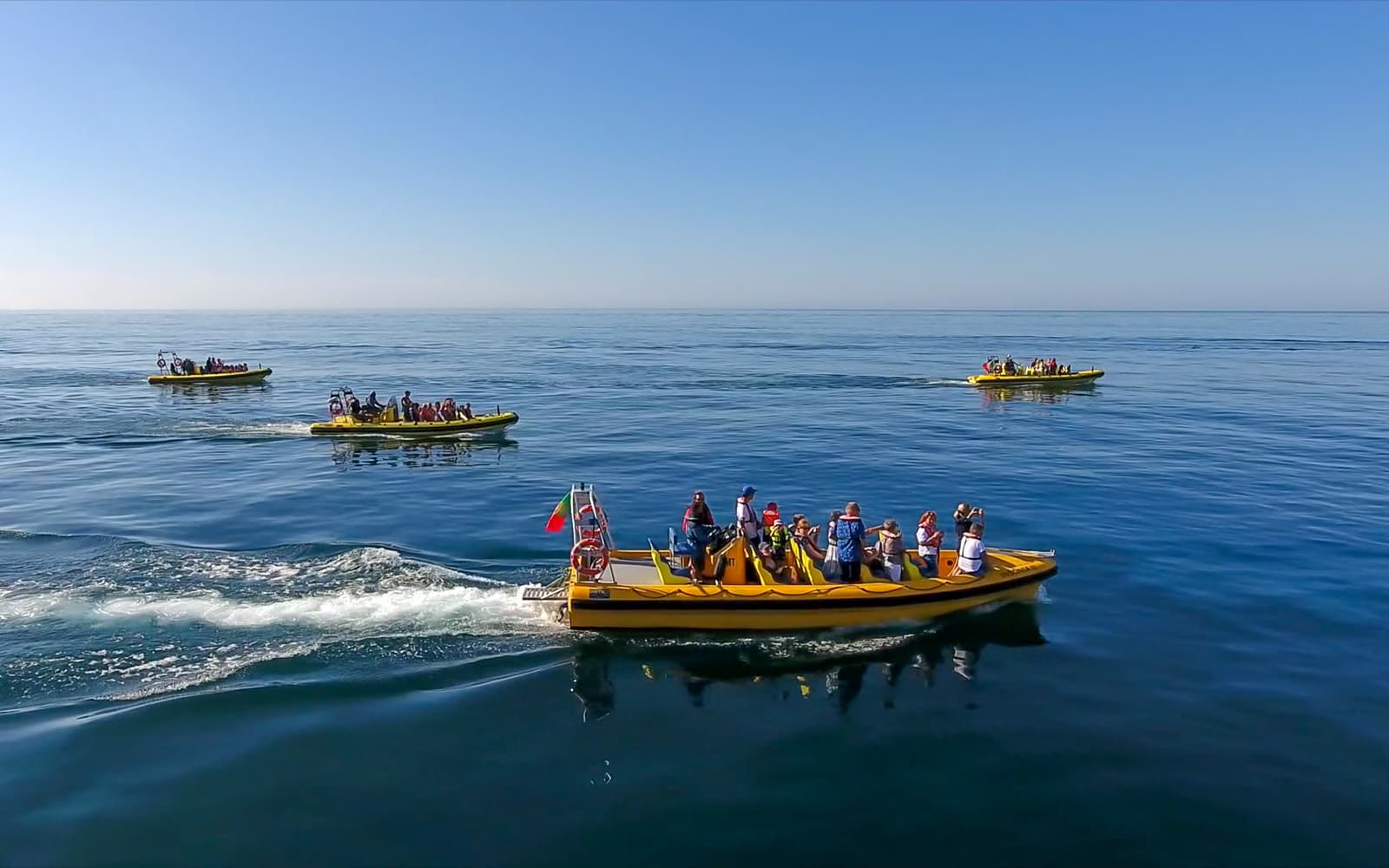 2 Hour Guided Dolphin Watching and Cave Cruise in Algarve tickets in Albufeira - Activities | TickYourList