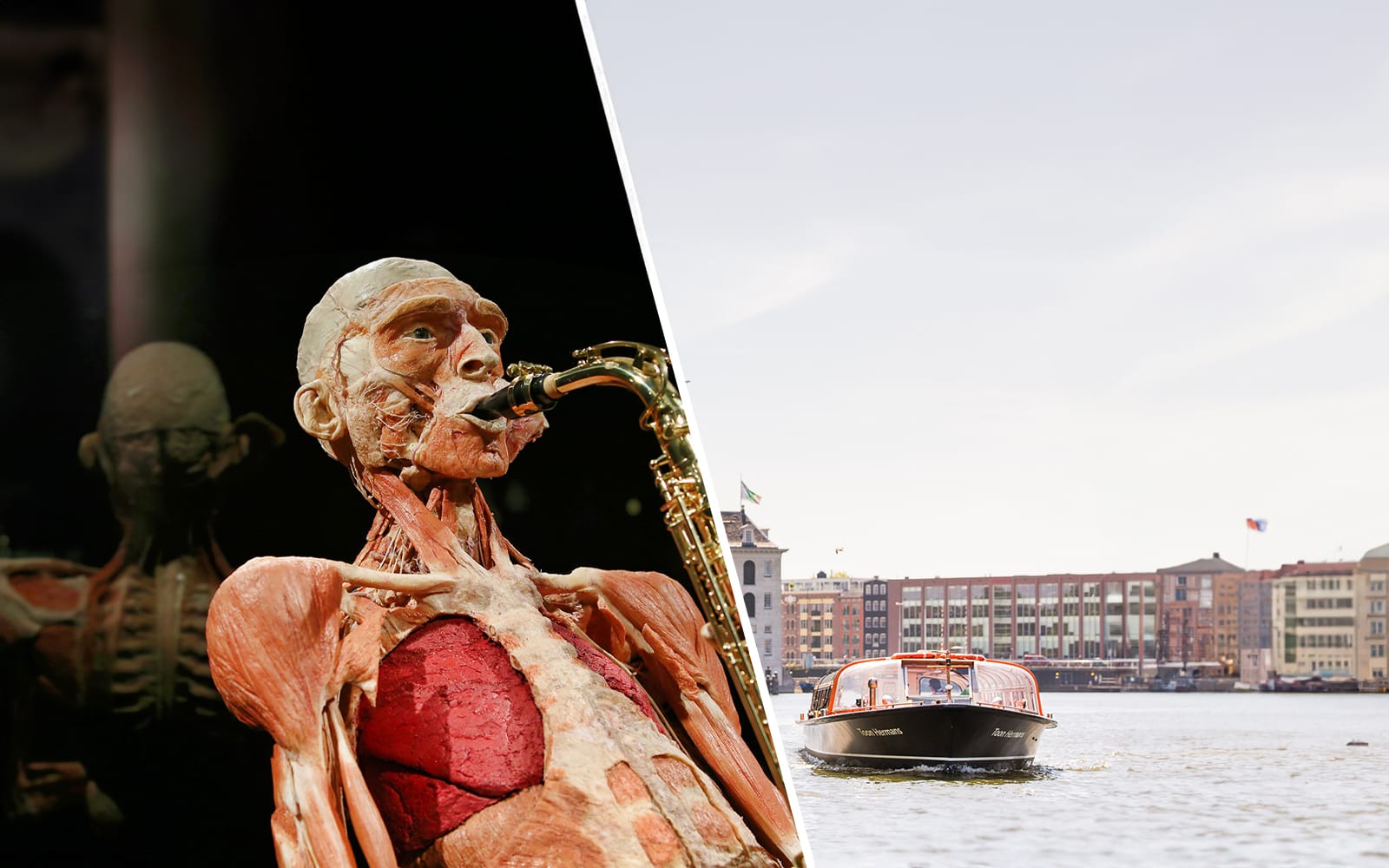 Combo: Body Worlds Amsterdam + Canal Cruise Tickets experience in Amsterdam | TickYourList