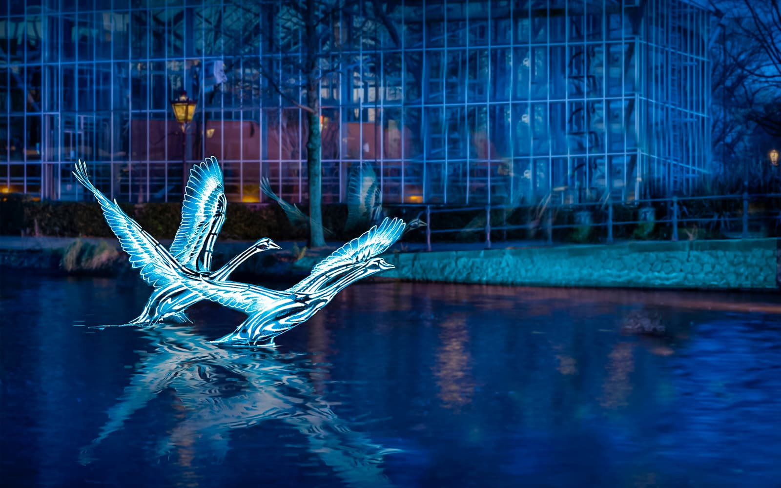 Amsterdam Light Festival: 90-min Extended Traditional Cruise with Optional Wine & Snackbox tickets in Amsterdam - Highlights | TickYourList