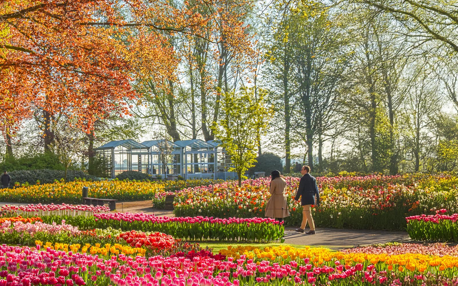 From Amsterdam: Keukenhof Guided Tour with Roundtrip Transfers