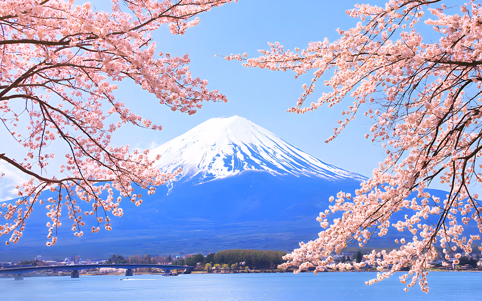 Mount Fuji Guided Day Tour with Lake Ashi Cruise & Hakone Ropeway tickets in Tokyo - Attractions | TickYourList