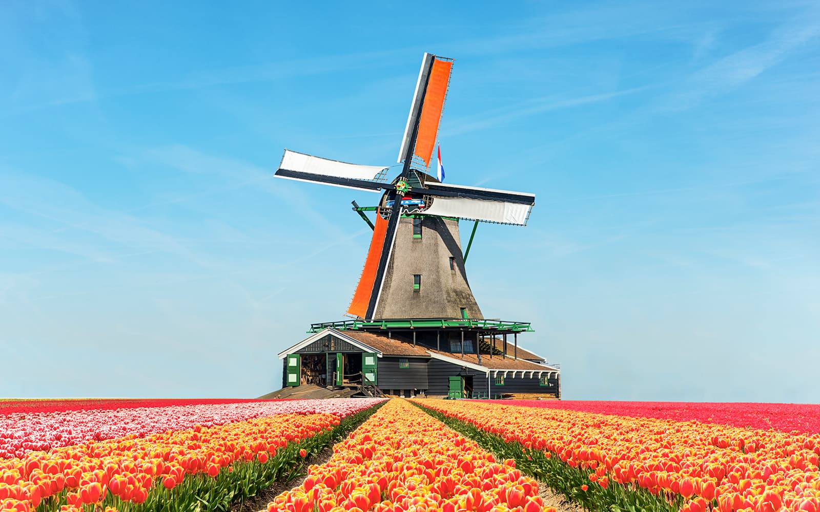 Keukenhof Guided Tour and Tulip Experience Amsterdam tickets in Amsterdam - Features | TickYourList