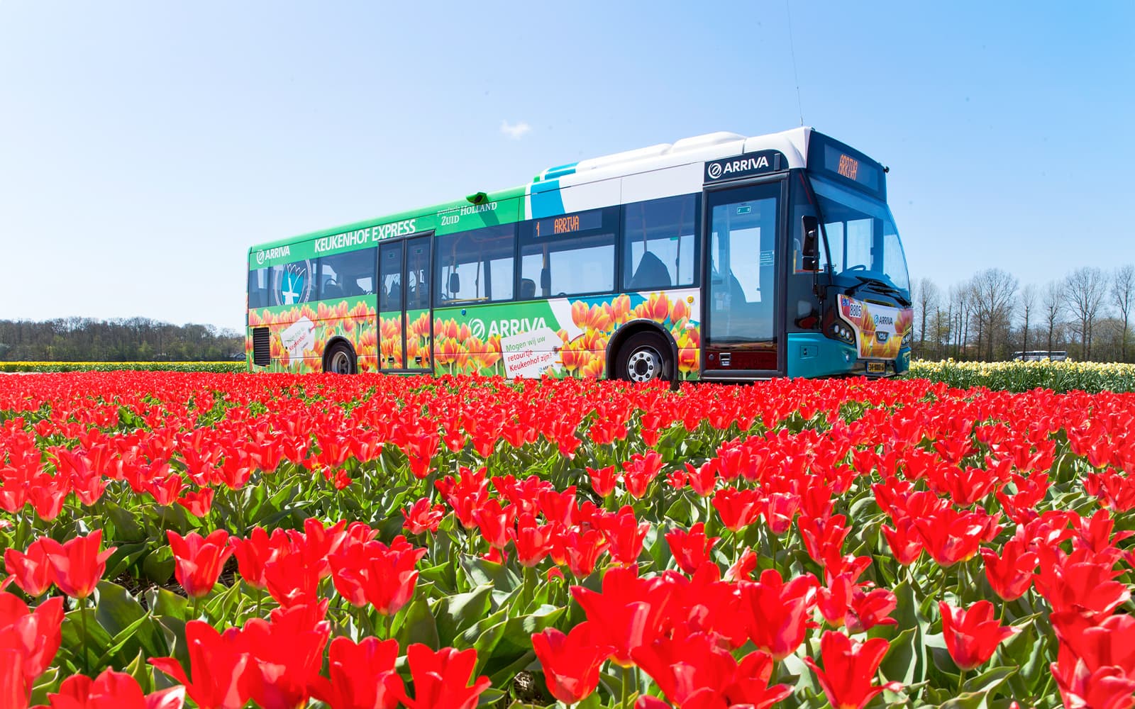 Keukenhof Entry Tickets with Public Bus Transfers from Amsterdam, Leiden, Schiphol or Haarlem