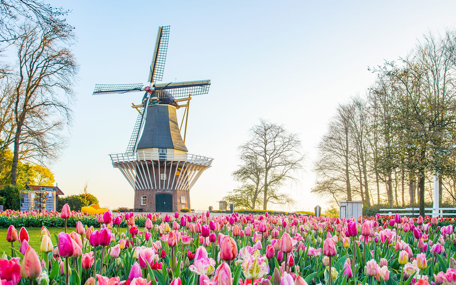 Keukenhof Entry Tickets with Public Bus Transfers from Amsterdam, Leiden, Schiphol or Haarlem in Amsterdam - Activities | TickYourList
