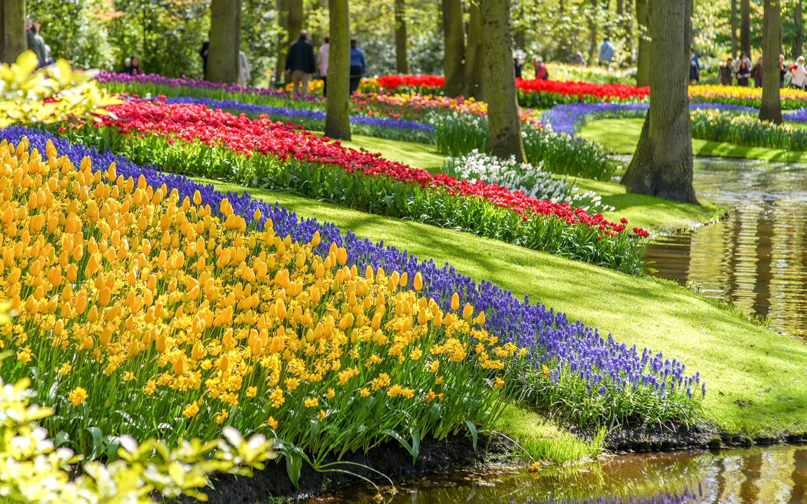 Keukenhof Entry Tickets with Public Bus Transfers from Amsterdam, Leiden, Schiphol or Haarlem in Amsterdam - Highlights | TickYourList