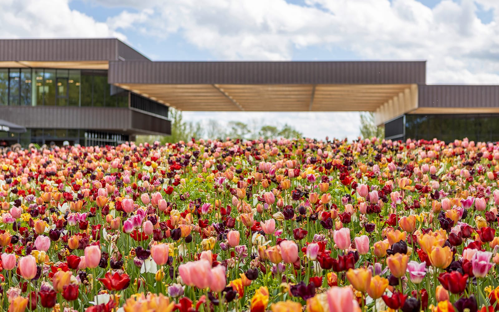 Keukenhof Parking Tickets in Amsterdam - Attractions | TickYourList