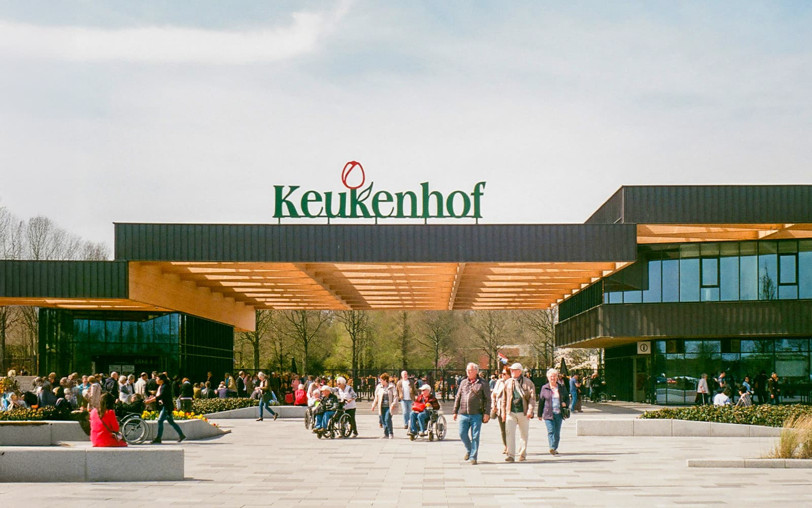 From Amsterdam: Day Trip to Keukenhof & Tulip Farm tickets in Amsterdam - Attractions | TickYourList