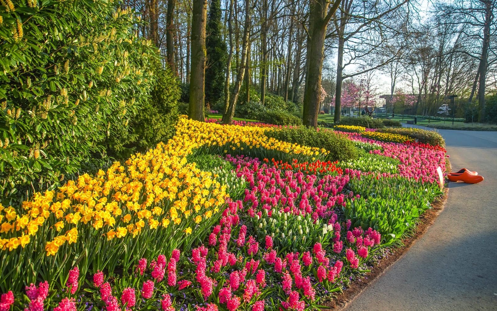 From Amsterdam: Day Trip to Keukenhof & Tulip Farm tickets in Amsterdam - Highlights | TickYourList