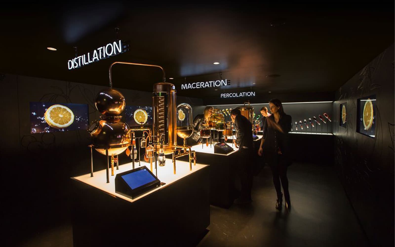 Bols Cocktail Experience Tickets with Craft Workshop in Amsterdam - Attractions | TickYourList