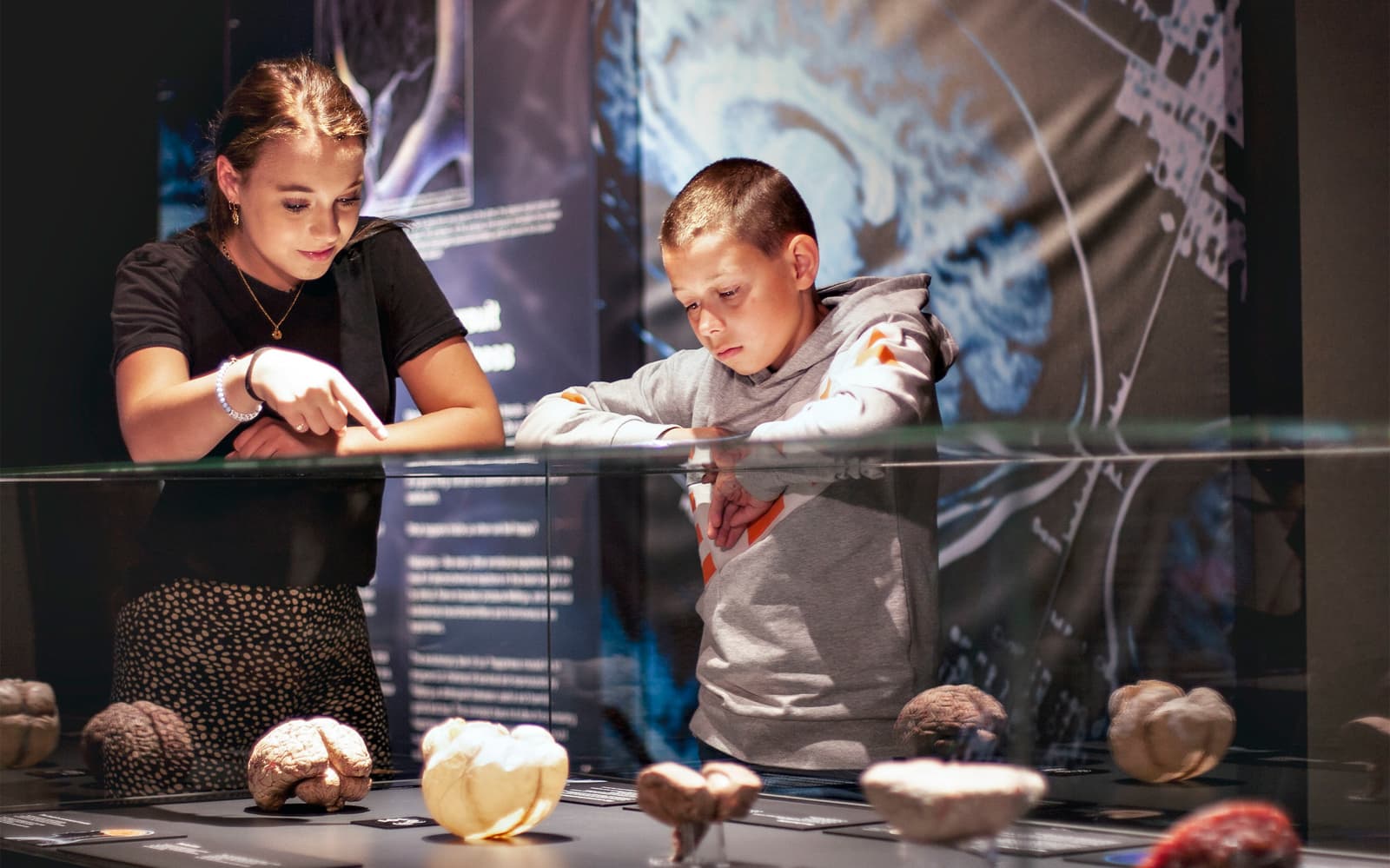 Body Worlds Amsterdam: The Happiness Project Skip-the-Line Tickets in Amsterdam - Activities | TickYourList