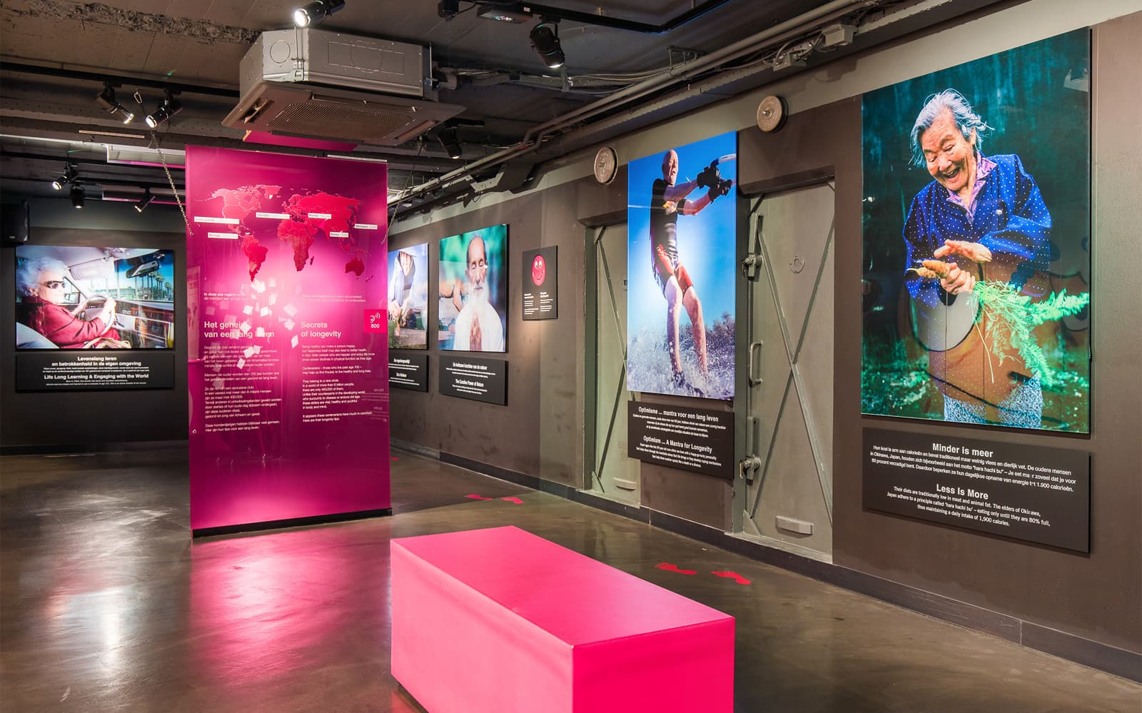Body Worlds Amsterdam: The Happiness Project Skip-the-Line Tickets in Amsterdam - Features | TickYourList