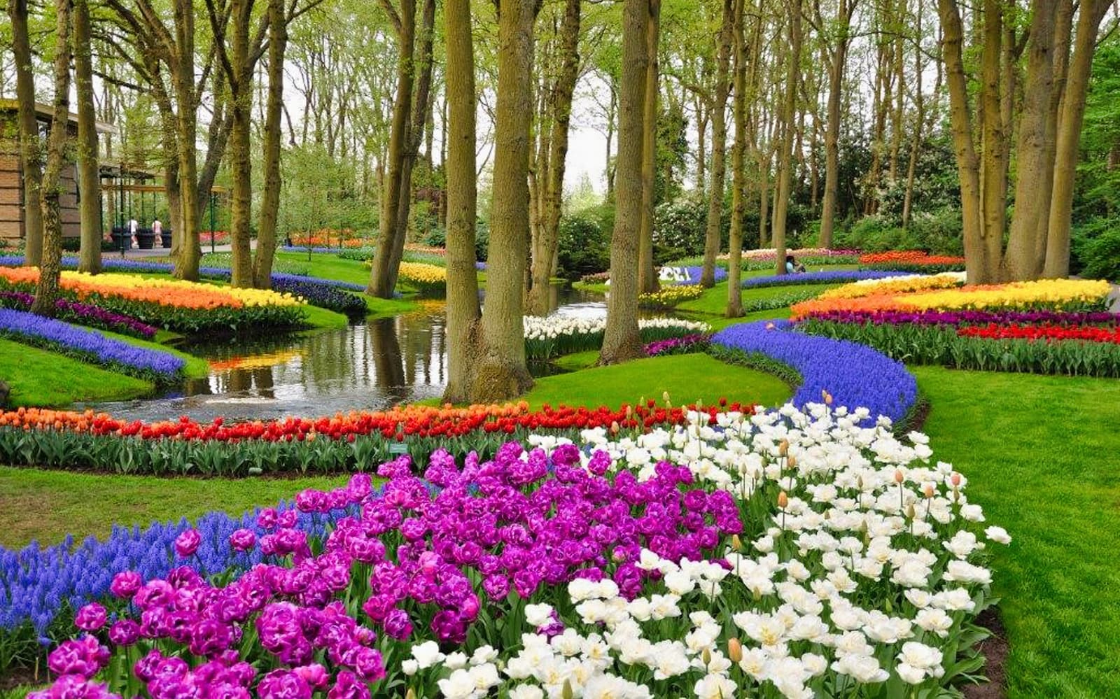 Amsterdam Day Tour from Brussels: Around the Windmills, Bikes, Canals, Cheese and Clogs Galore