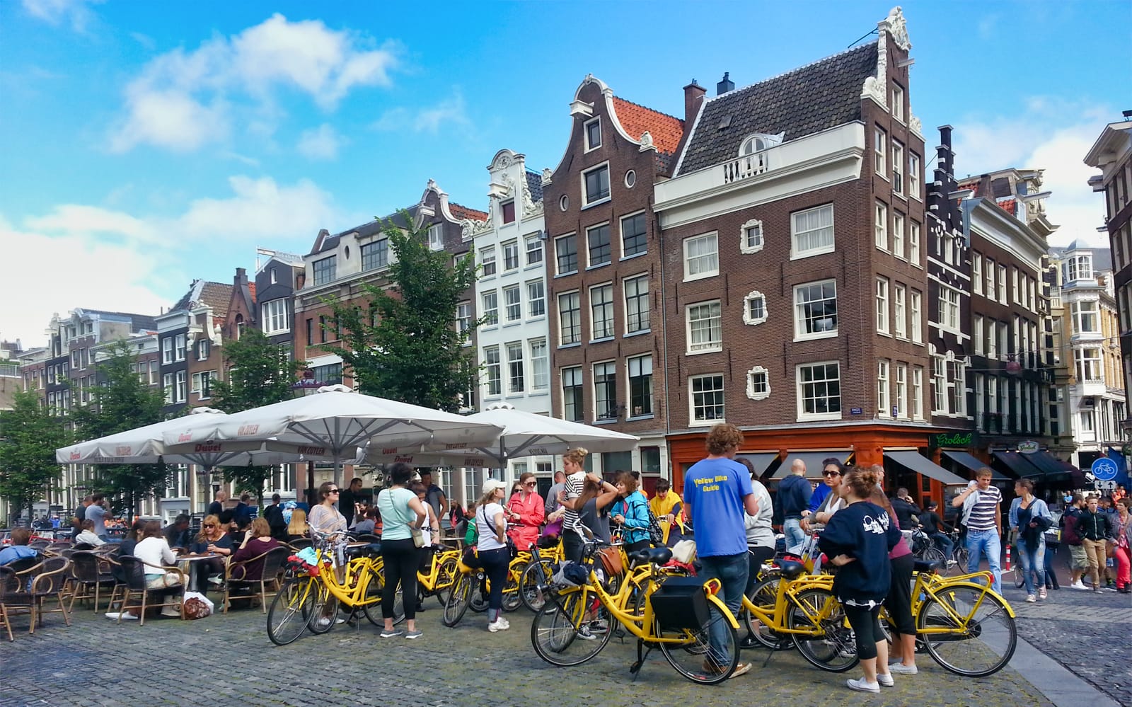 Guided Sightseeing Bike Tour of Amsterdam - Small Group tickets in Amsterdam - Attractions | TickYourList