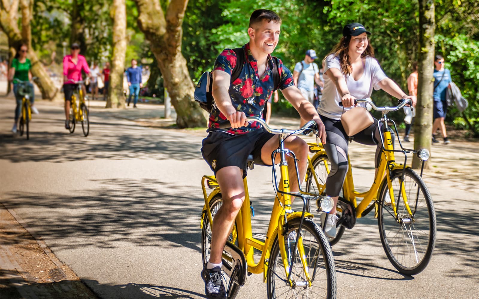 3-Hour Guided Bike Tour of Amsterdam