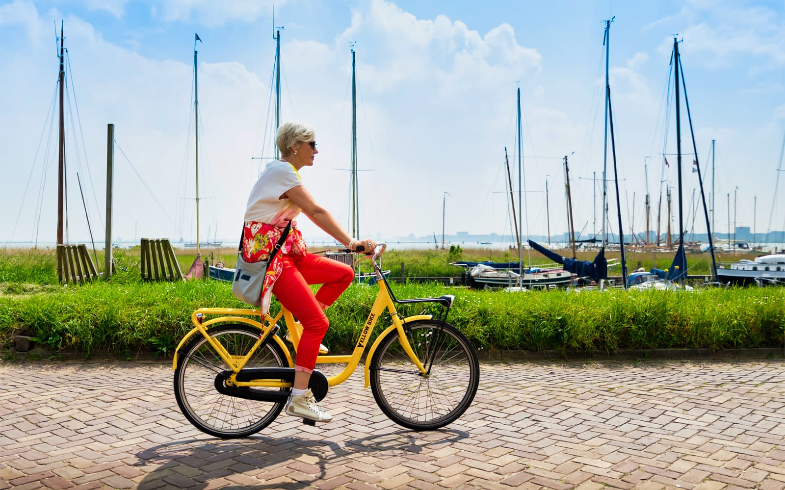 From Amsterdam: Half-Day Countryside Bike Tour tickets in Amsterdam - Attractions | TickYourList