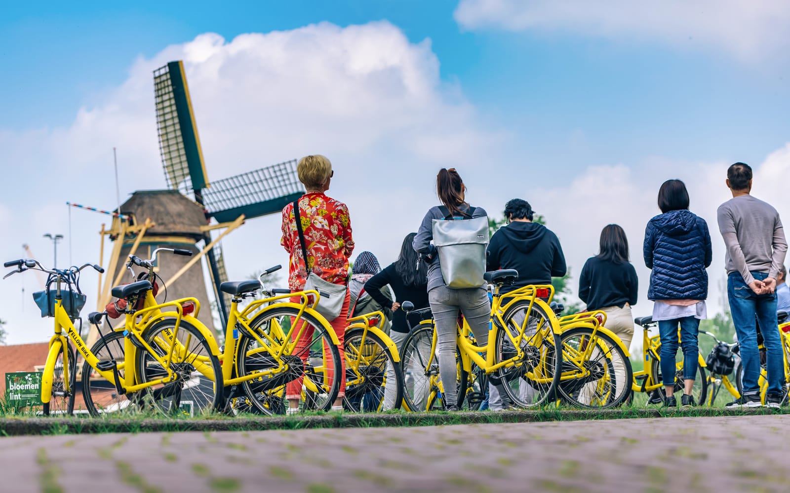 From Amsterdam: Half-Day Countryside Bike Tour tickets in Amsterdam - Activities | TickYourList