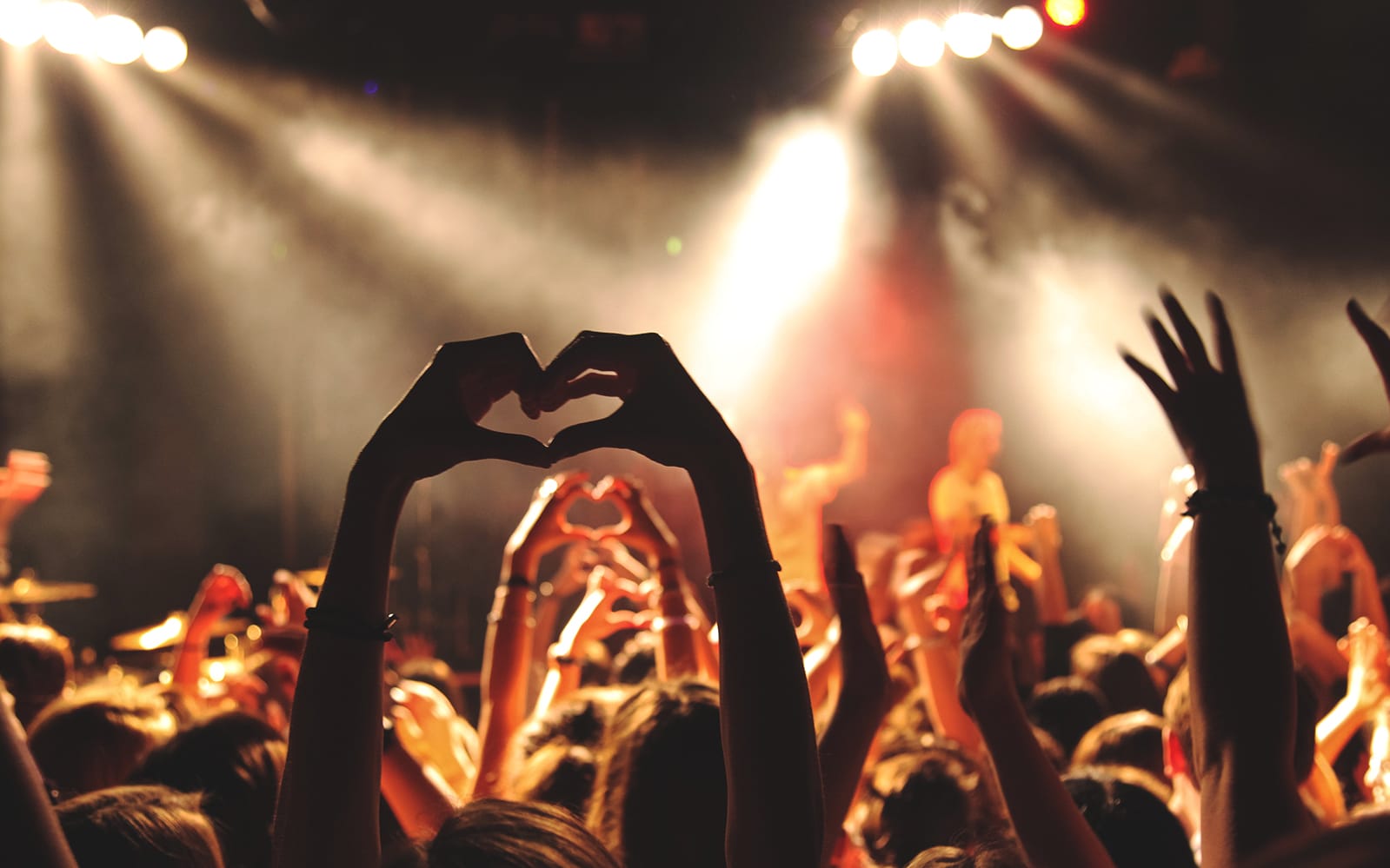 Amsterdam Surprise Night Dinner tickets in Amsterdam - Activities | TickYourList