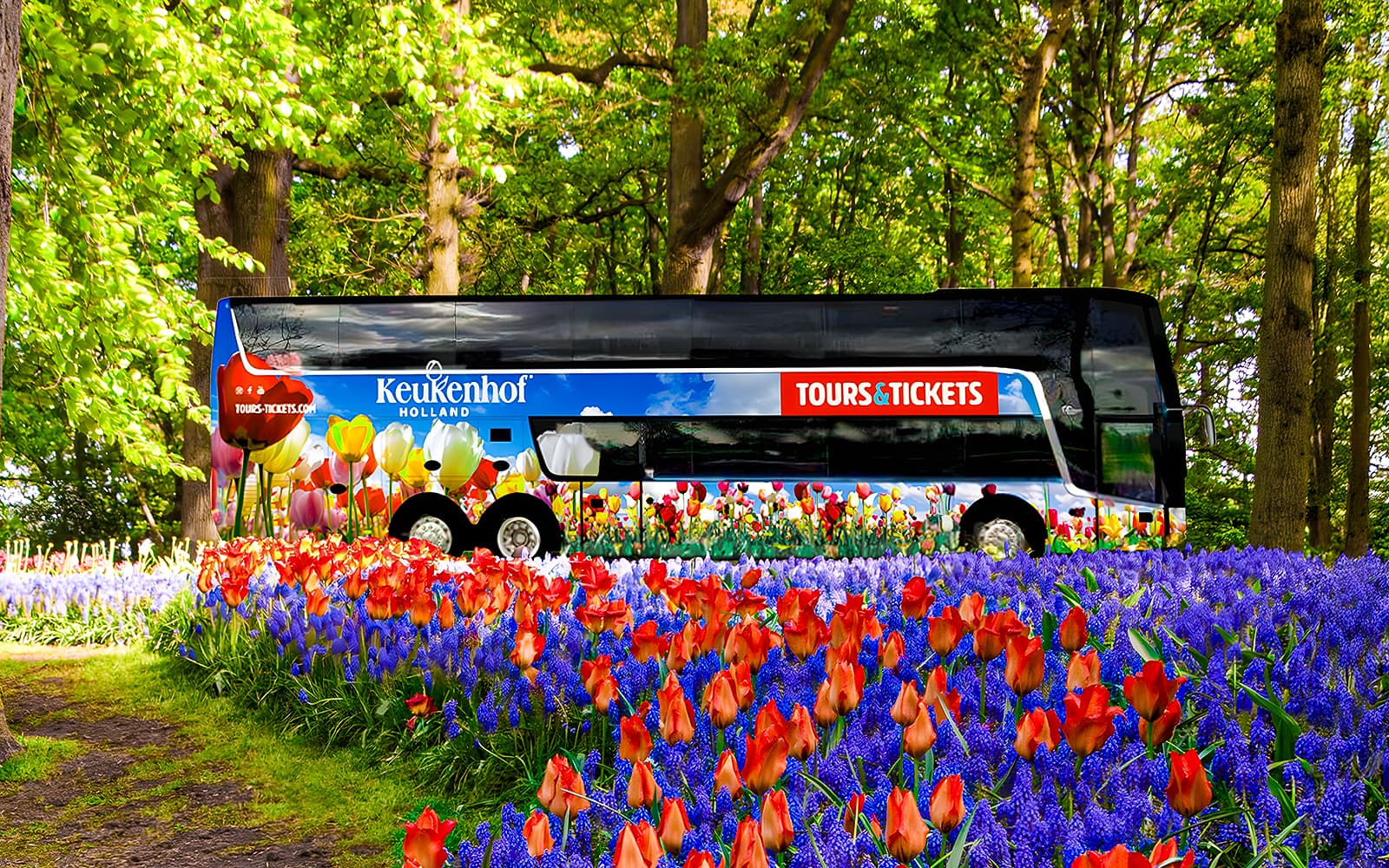 Keukenhof Entry Tickets with Luxury Bus Transfers from Amsterdam