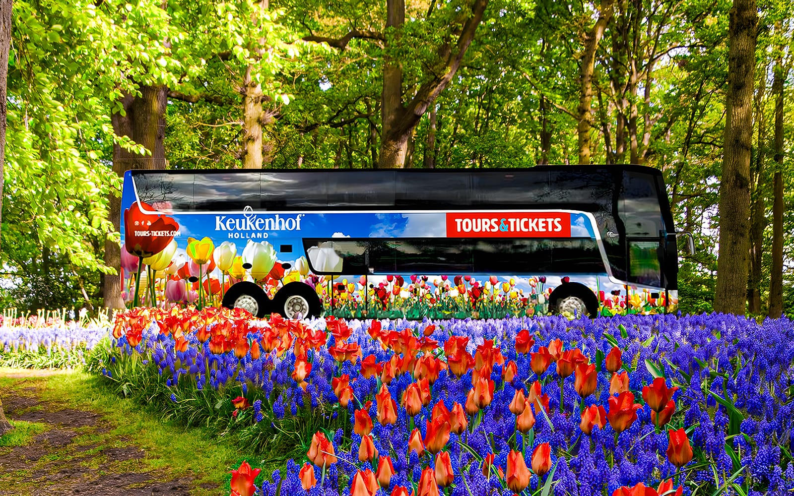 Keukenhof Entry Tickets with Luxury Bus Transfers from Amsterdam