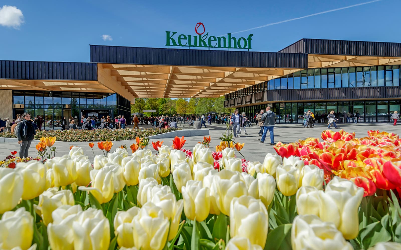 Keukenhof Entry Tickets with Luxury Bus Transfers from Amsterdam in Amsterdam - Attractions | TickYourList