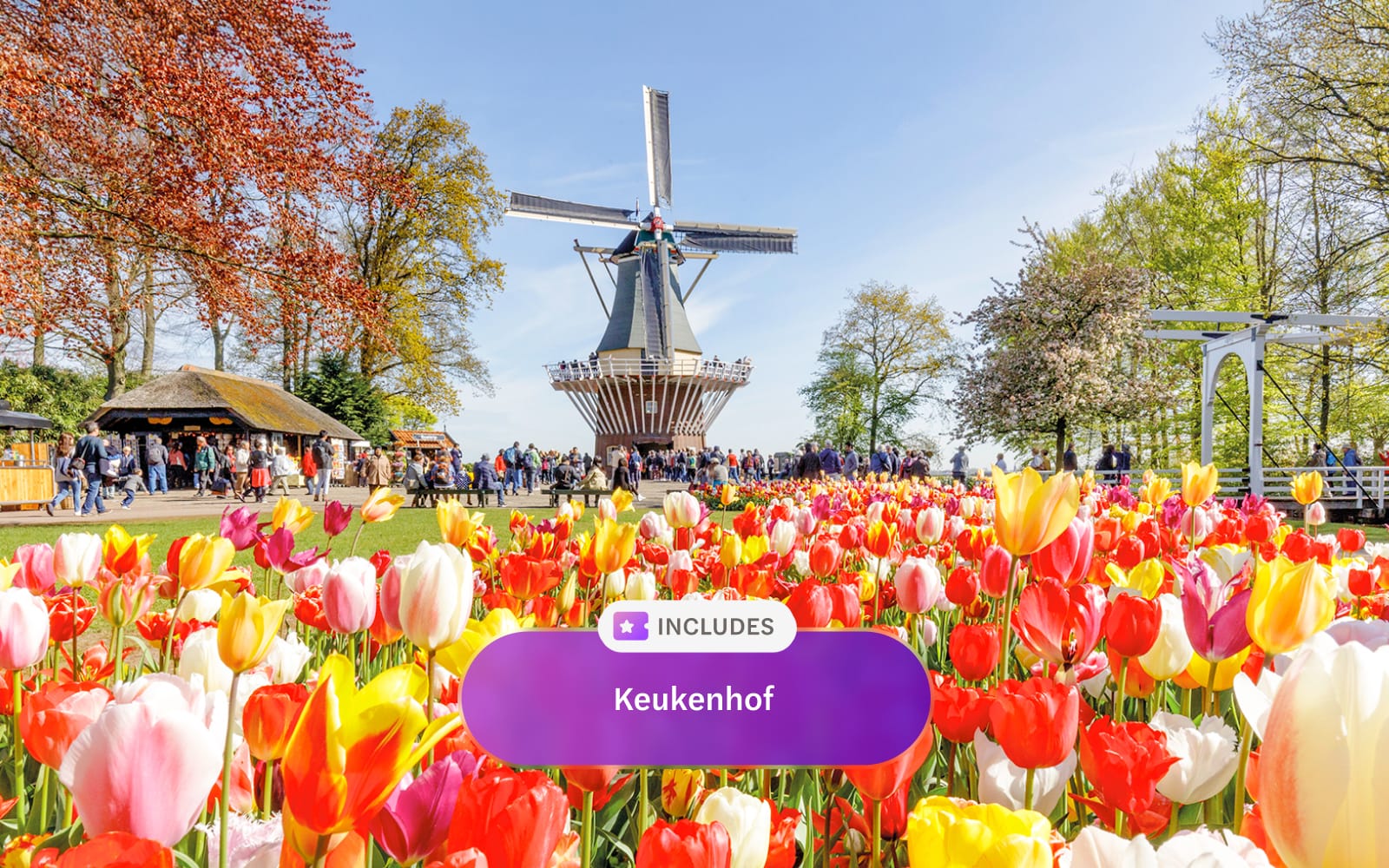 Go City Amsterdam All-Inclusive Pass: Unlimited Access to 45+ Attractions for 1 to 5 Days tickets in Amsterdam - Activities | TickYourList