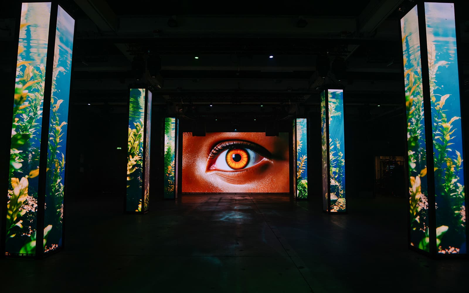 AMAZE Amsterdam Tickets: Immersive Audiovisual Experience in Amsterdam - Highlights | TickYourList
