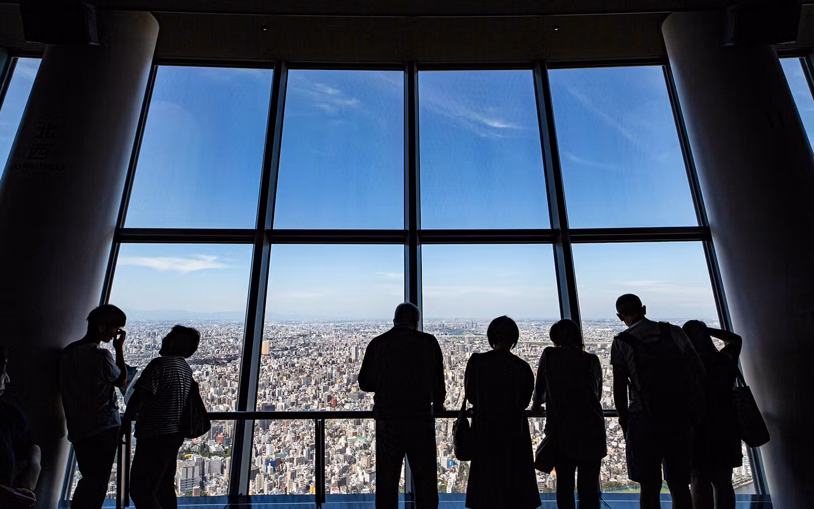Combo: TOKYO SKYTREE + Sumida Aquarium Tickets in Tokyo - Highlights | TickYourList