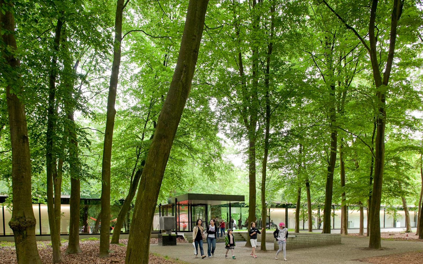 Guided Day Tour of Kröller Müller Museum & Hoge Veluwe National Park from Amsterdam experience tickets in Amsterdam | TickYourList