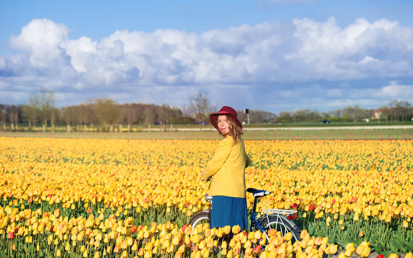 From Amsterdam: Round-Trip Transfers to Keukenhof Tulip Fields