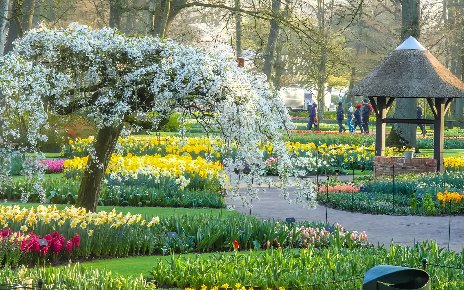 From Amsterdam: Round-Trip Transfers to Keukenhof Tulip Fields tickets in Amsterdam - Highlights | TickYourList