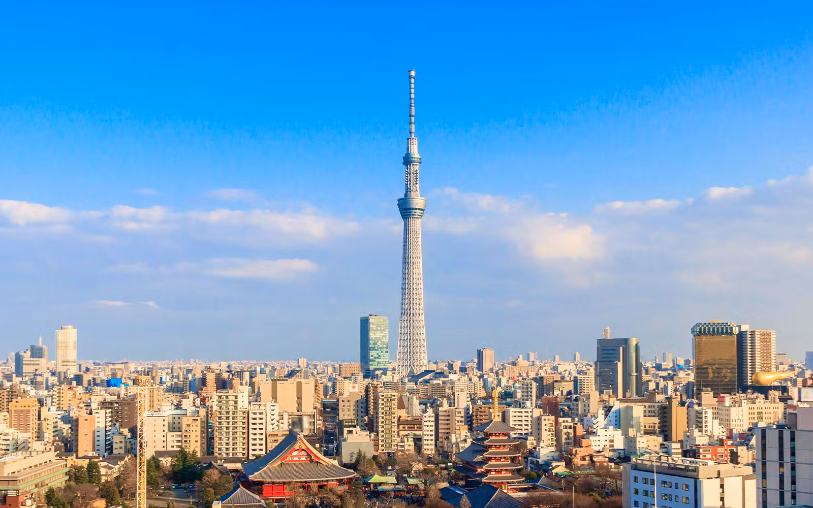 TOKYO SKYTREE Tembo Deck & Tembo Galleria Tickets