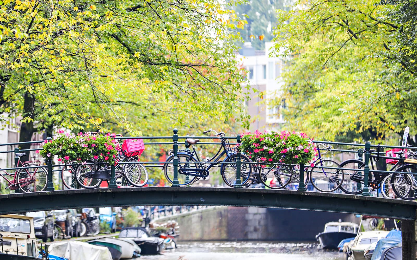 Anne Frank, Jordaan, and Leidseplein Walking Tour tickets in Amsterdam - Highlights | TickYourList
