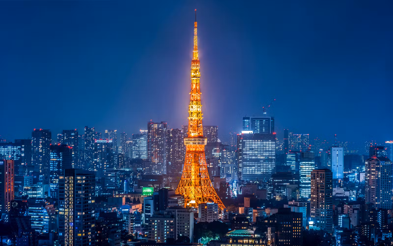 Tokyo Tower Tickets