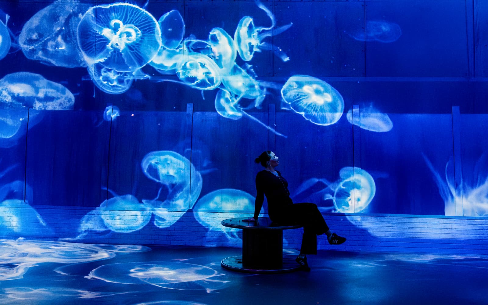 Fabrique des Lumières Entry Tickets in Amsterdam - Activities | TickYourList